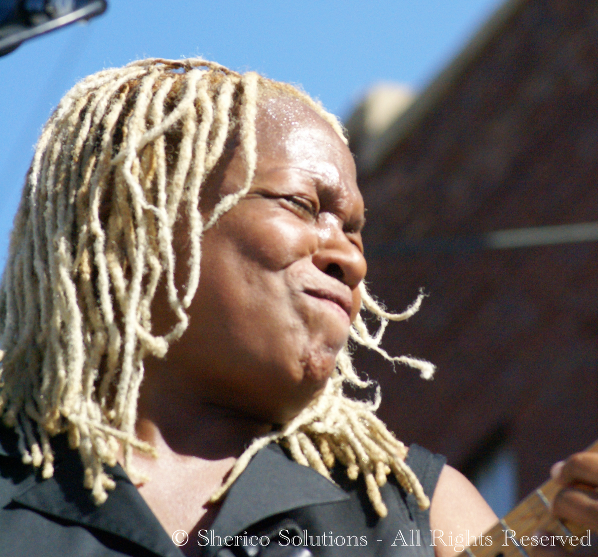 Pat Wilder – Arkansas Blues Festival 2006